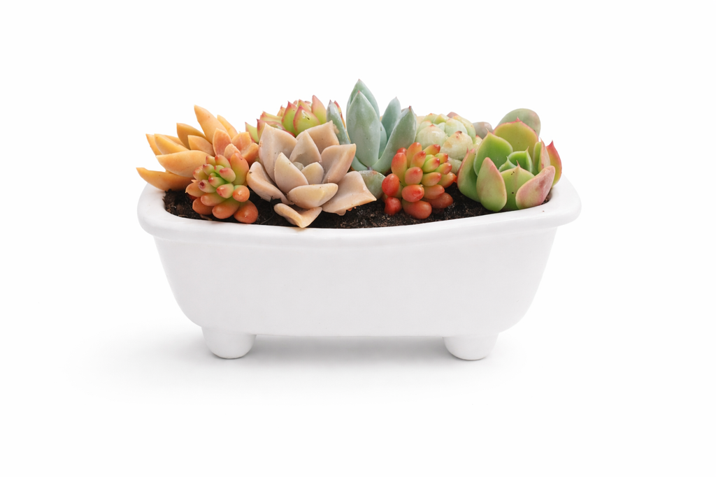 Classic Bathtub Ceramic Pot - White