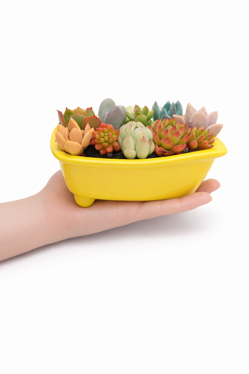 Classic Bathtub Ceramic Pot - Yellow