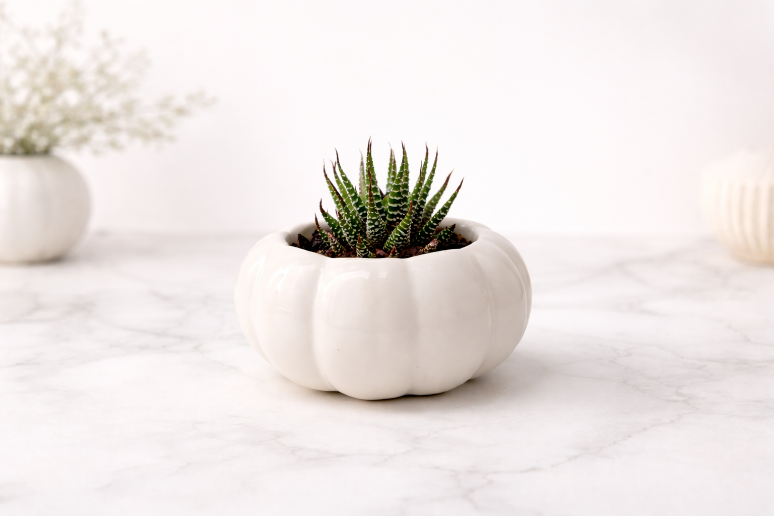 Pumpkin Ceramic Pot - White