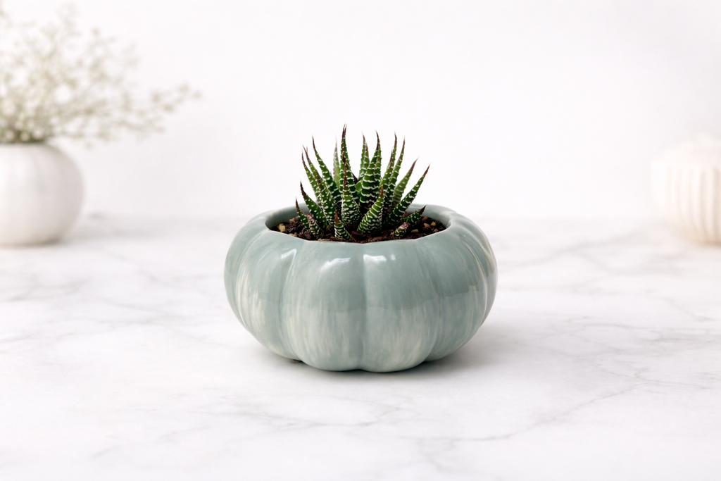 Pumpkin Ceramic Pot - Sage