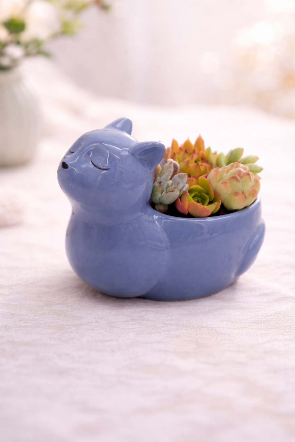 Sleepy Cat Ceramic Pot - Jasper Blue