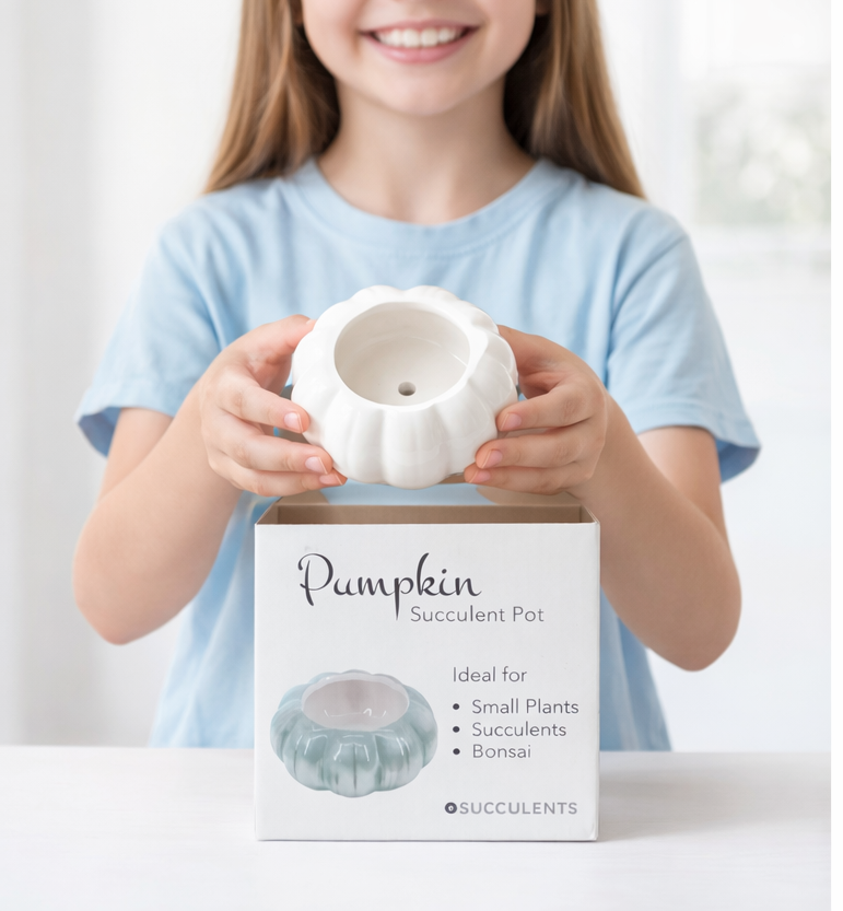 Pumpkin Ceramic Pot - White
