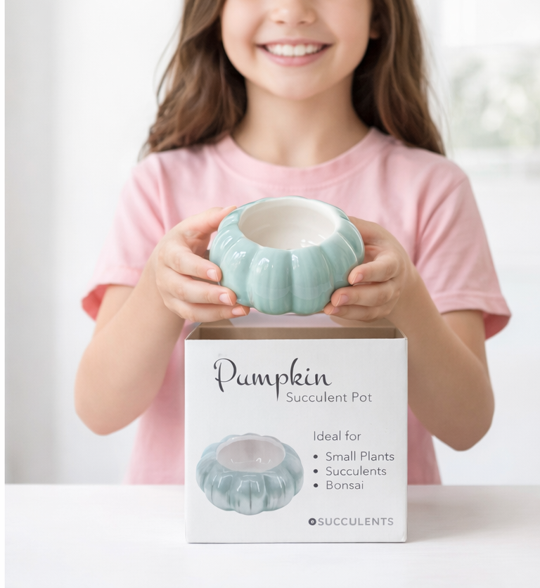 Pumpkin Ceramic Pot - Sage